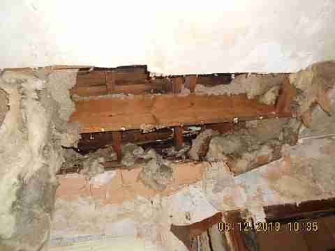 18961 Joann (17)_m.jpg